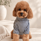 Perro con jersey polar de cuadros azules y marrones