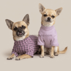 Perro con jersey polar lila