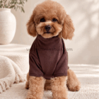Perro con jersey polar marrón