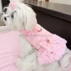 Perrita en Veterizonia con el abrigo arnés rosa de pelo, lazo y corazón