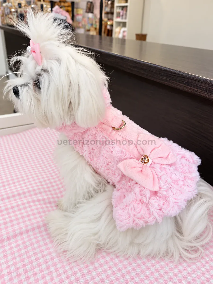 Perrita en Veterizonia con el abrigo arnés rosa de pelo, lazo y corazón