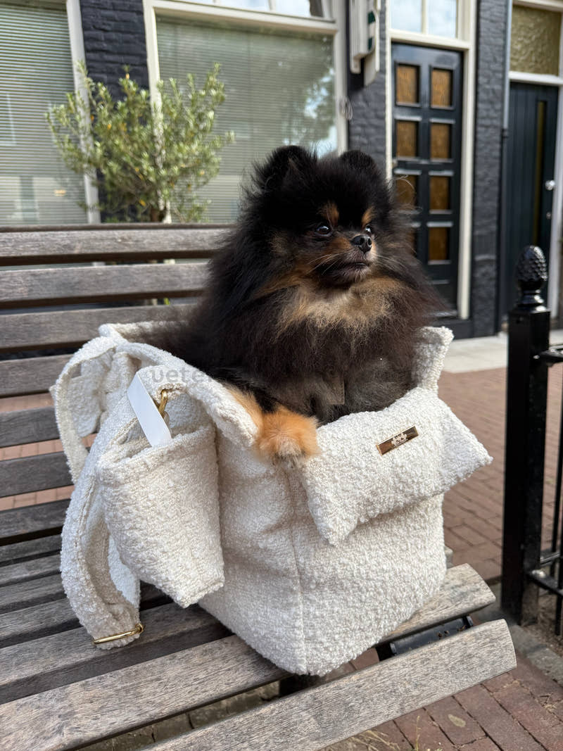 Perro pequeño dentro del bolso transportín Bouclé City