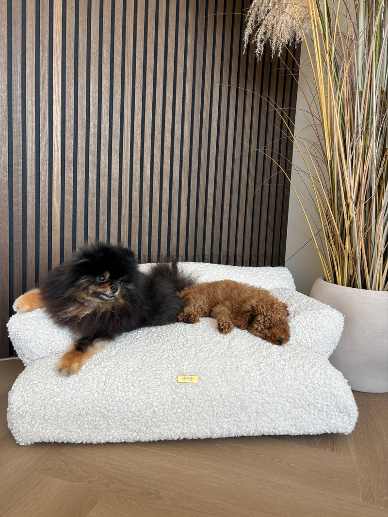 Dos perros descansando en el sofá Teddy blanco roto