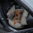 Perro pequeño acomodado en el asiento Staey Lara Taupe 2.0 dentro de un coche
